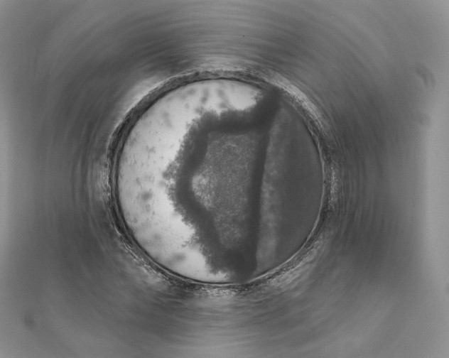 X0000111800878200908061156