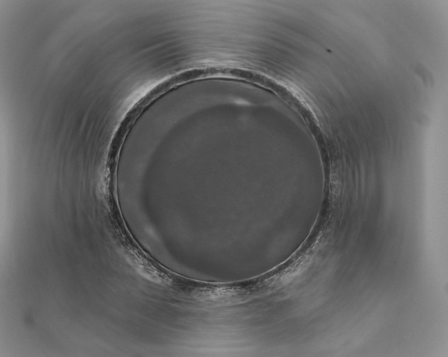 X0000111800879200908061156