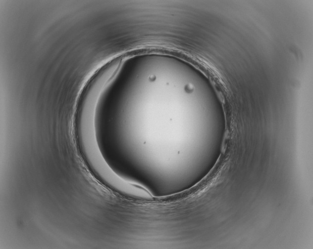 X0000111800880200908061156