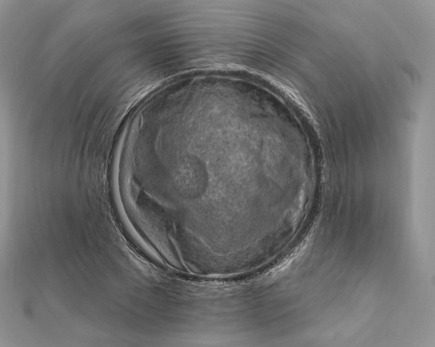 X0000111800881200908061156