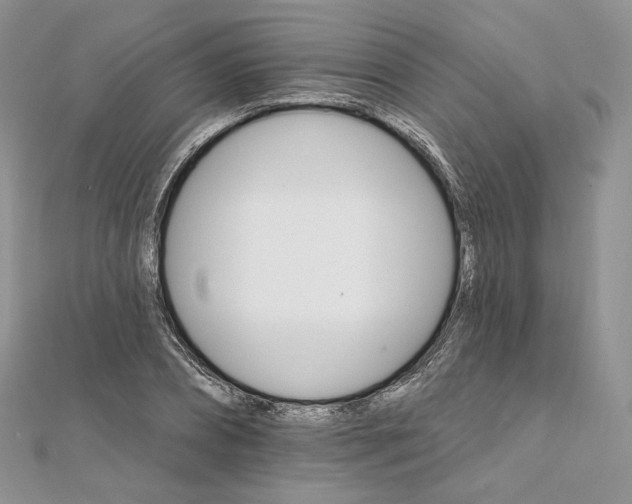 X0000111800882200908061156