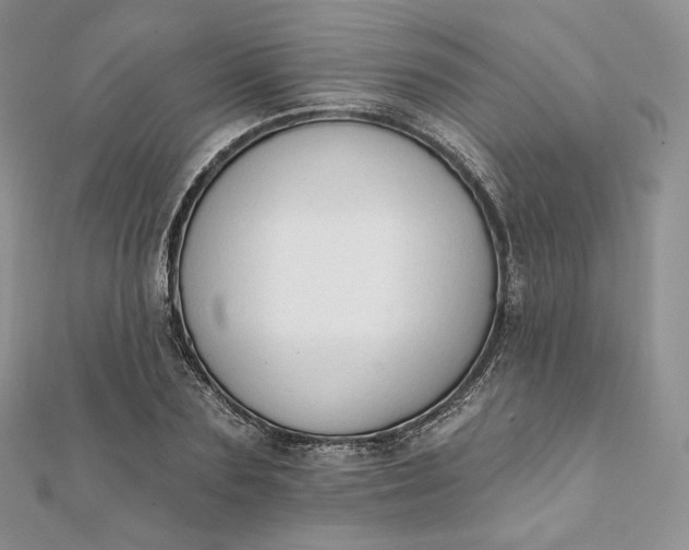 X0000111800883200908061156