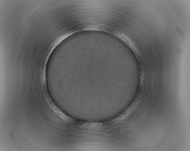 X0000111800884200908061156