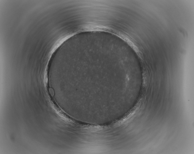 X0000111800885200908061156