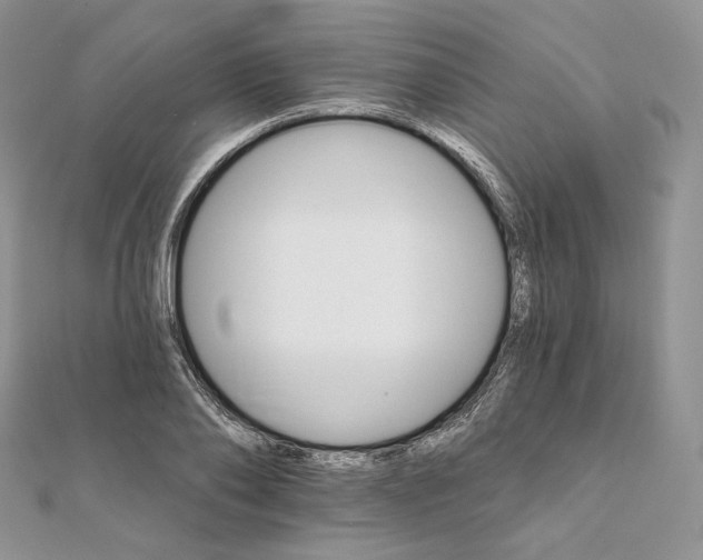 X0000111800886200908061156