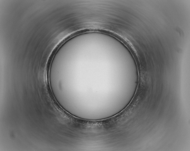 X0000111800887200908061156