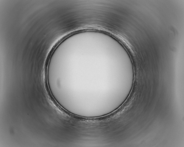 X0000111800888200908061156