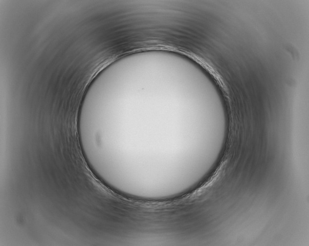 X0000111800889200908061156