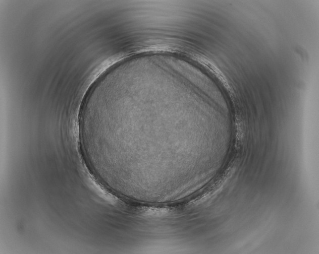 X0000111800890200908061156