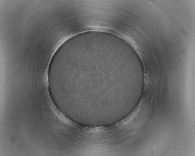 X0000111800891200908061156