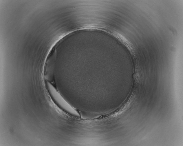 X0000111800892200908061156