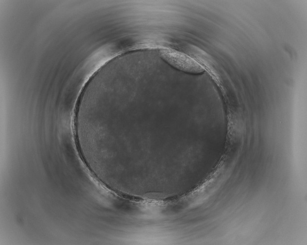 X0000111800893200908061156