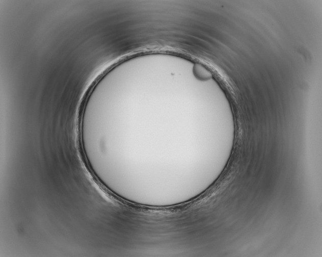 X0000111800894200908061156