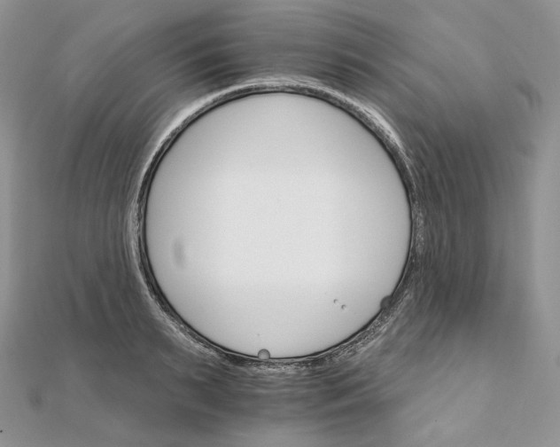 X0000111800895200908061156