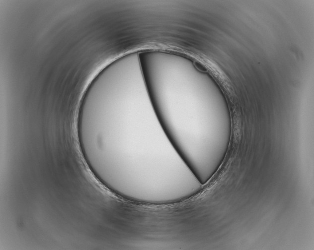 X0000111800896200908061156