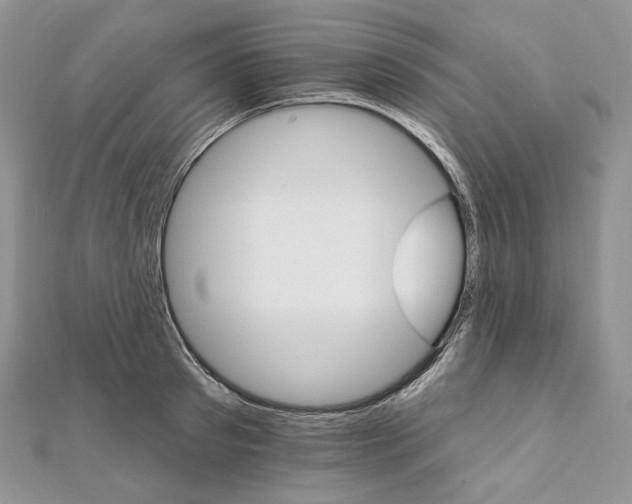 X0000111800897200908061156