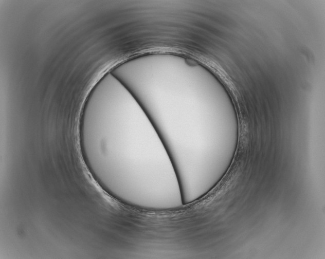 X0000111800898200908061156