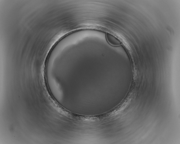 X0000111800899200908061156