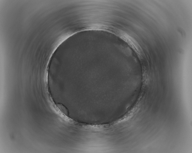 X0000111800900200908061156