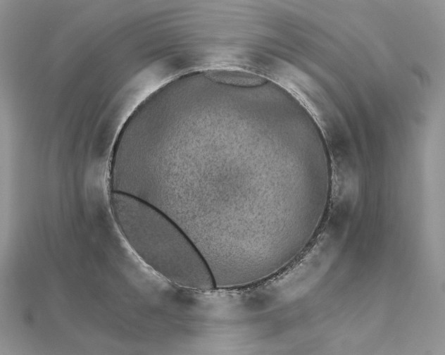 X0000111800901200908061156