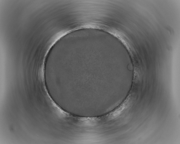 X0000111800902200908061156