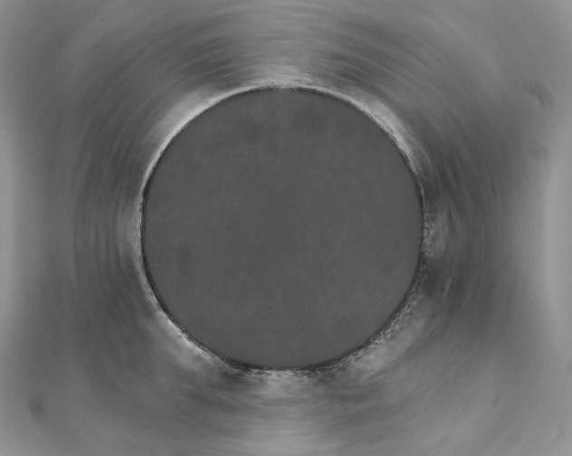 X0000111800903200908061156