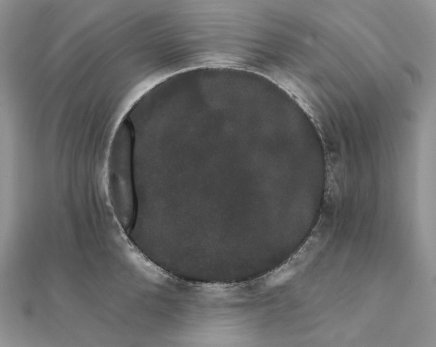 X0000111800904200908061156