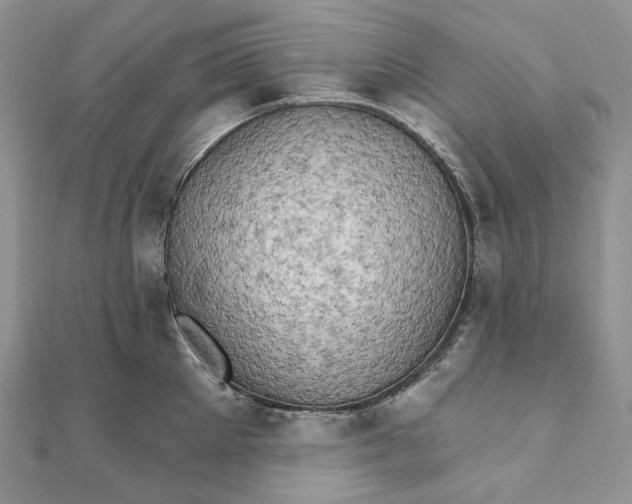 X0000111800905200908061156