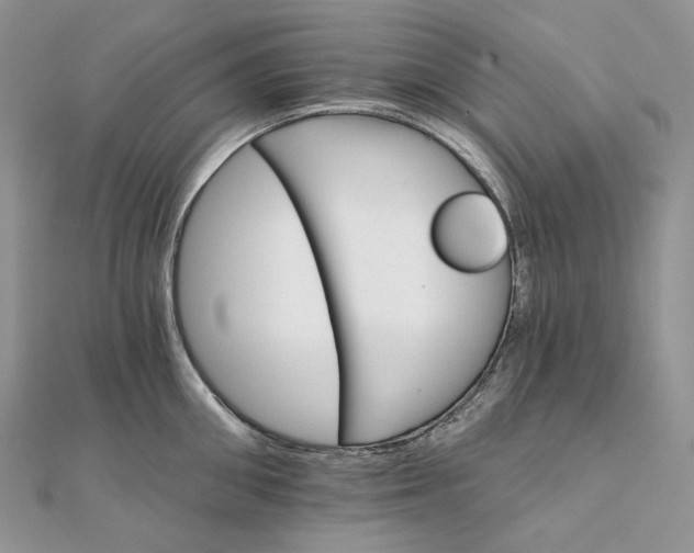 X0000111800906200908061156