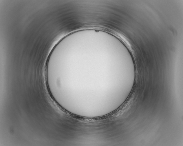 X0000111800907200908061156