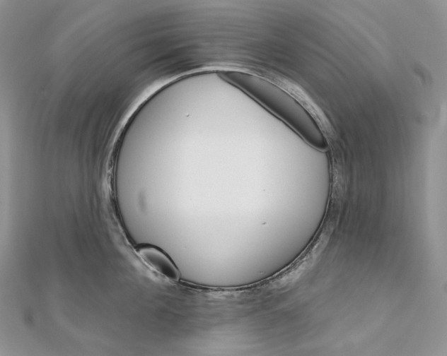 X0000111800908200908061156