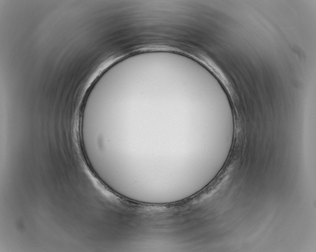 X0000111800909200908061156