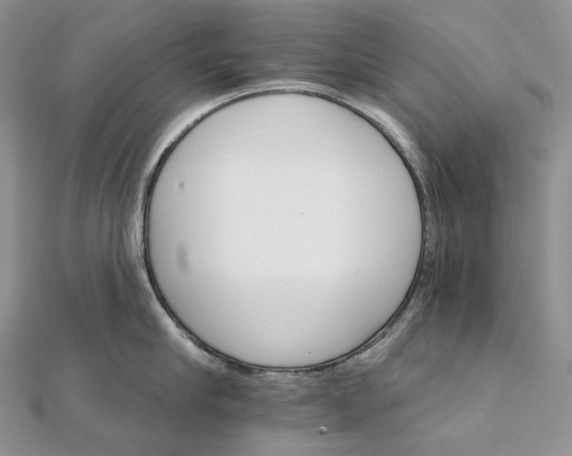 X0000111800910200908061156