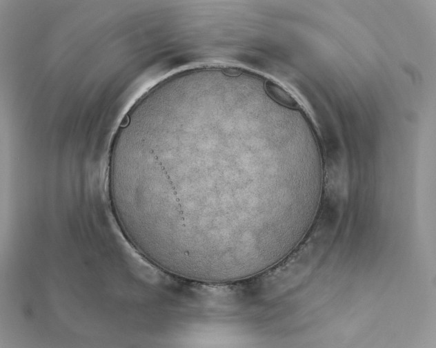 X0000111800911200908061156