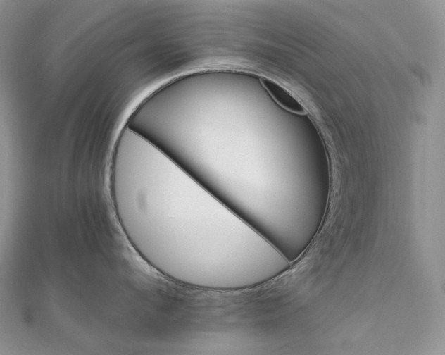 X0000111800912200908061155