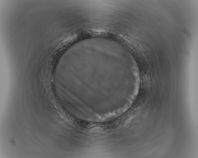 X0000111800913200908061155