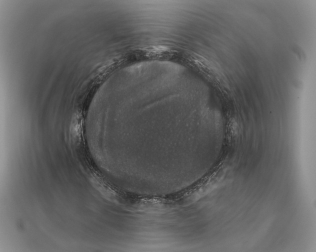 X0000111800914200908061155