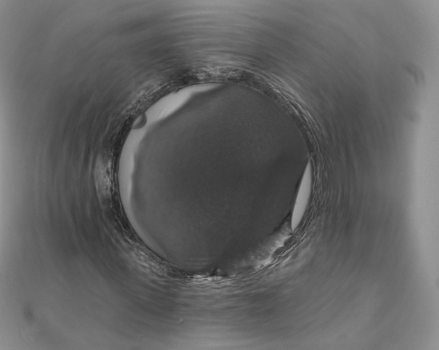 X0000111800915200908061155