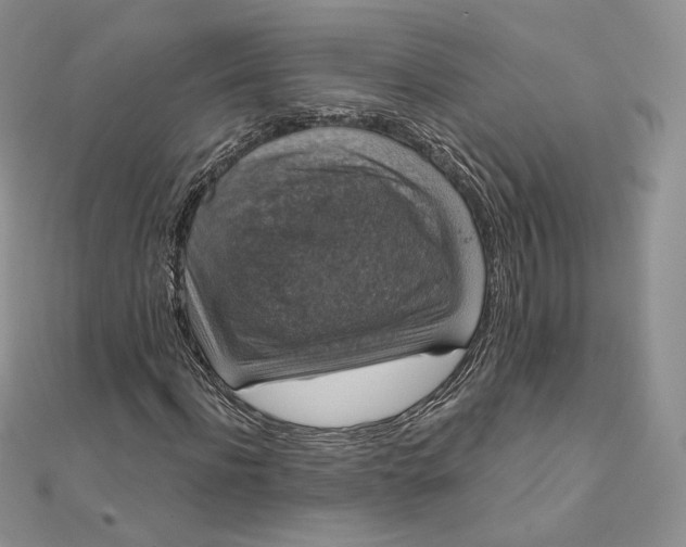 X0000111800916200908061155