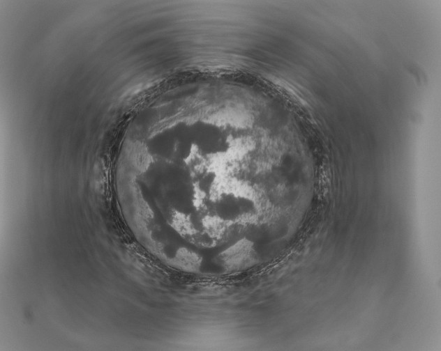 X0000111800917200908061155