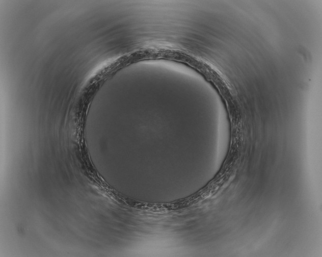 X0000111800919200908061155