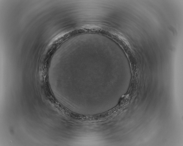 X0000111800920200908061155