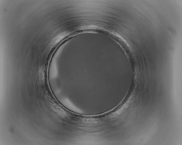 X0000111800921200908061155