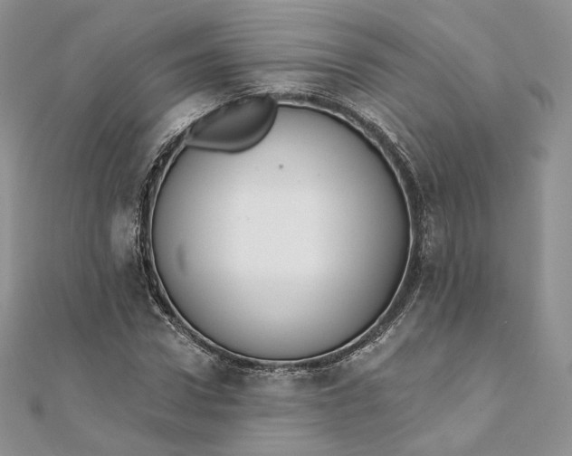 X0000111800922200908061155