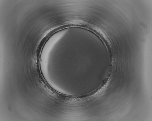 X0000111800923200908061155