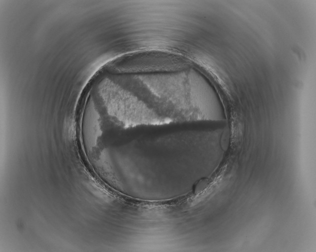 X0000111800924200908061155