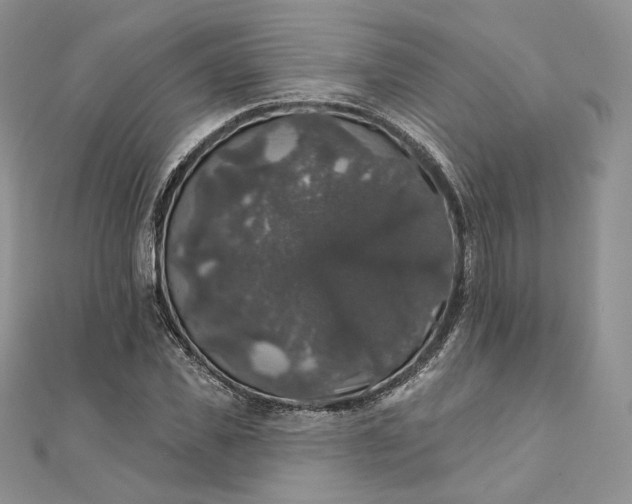 X0000111800925200908061155