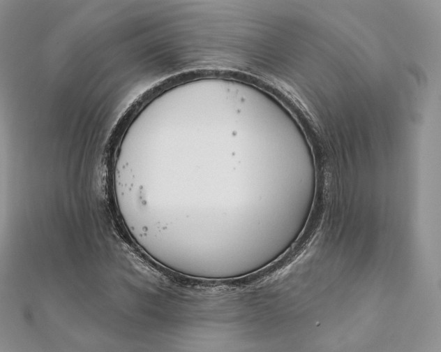 X0000111800926200908061155