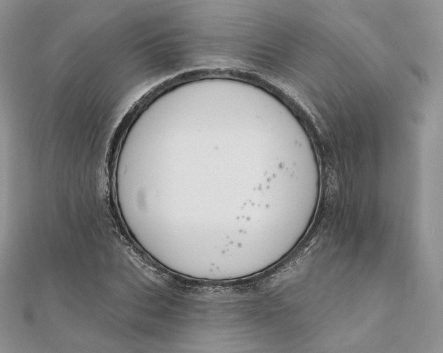 X0000111800927200908061155