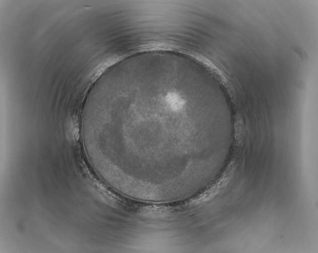 X0000111800929200908061155